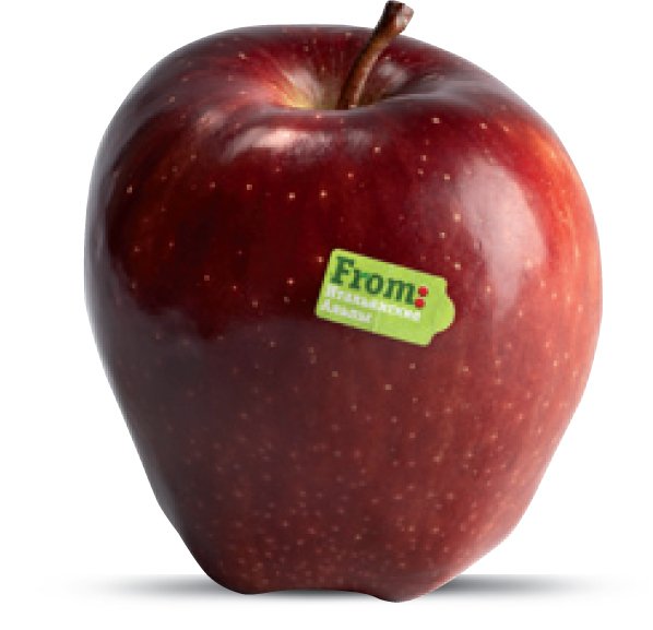 apple oet reete folclorice în varicoza